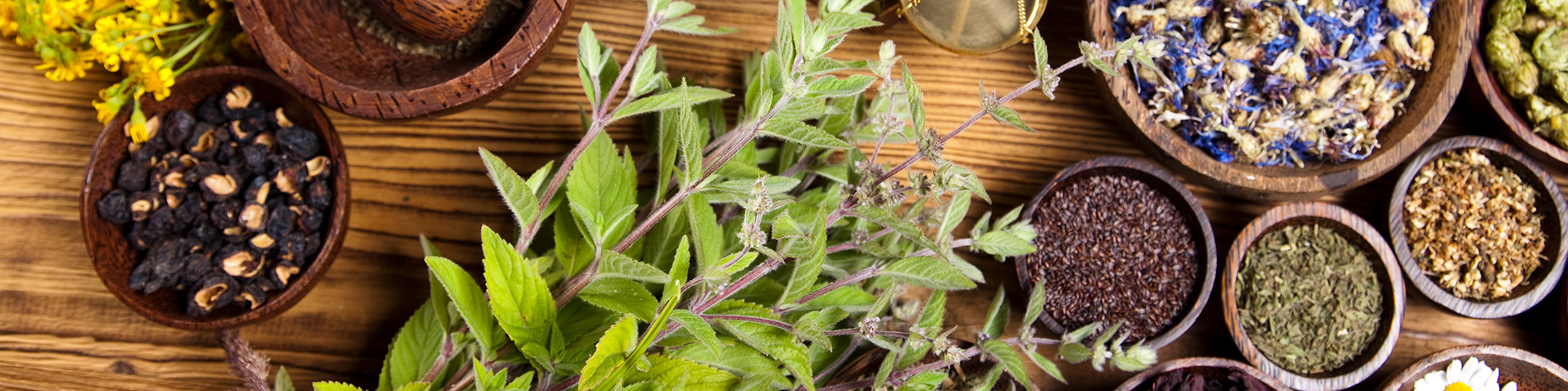 Травы для укрепления иммунитета и омоложения